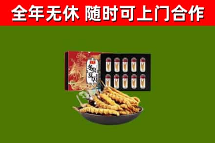 石龙区回收冬虫夏草价格