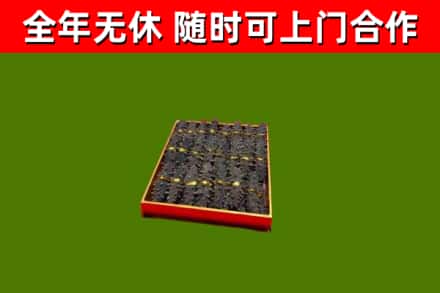 石龙区回收海参